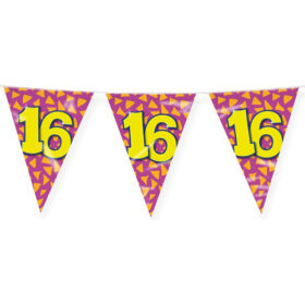 Guirlande de fanions 16 ans