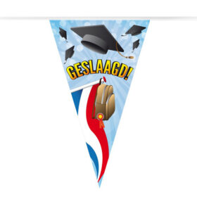 Guirlande de Drapeaux Réussi! PVC 10 mètres