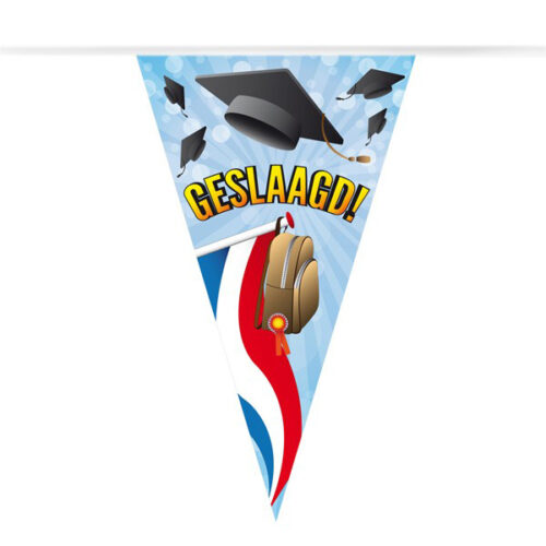 Guirlande de Drapeaux Réussi! PVC 10 mètres